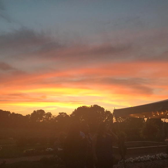 Meet your Posher, Paloma - Picture 1 of 1